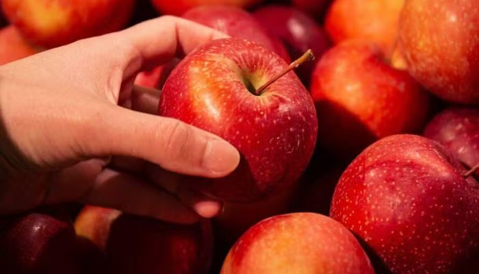  Maçã, chá preto e feijão: veja alimentos que ajudam a recuperar disposição após noite mal dormida